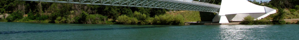 banner1